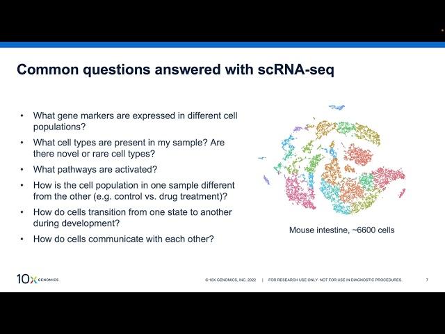 Introduction to ScRNA-seq Data Analysis