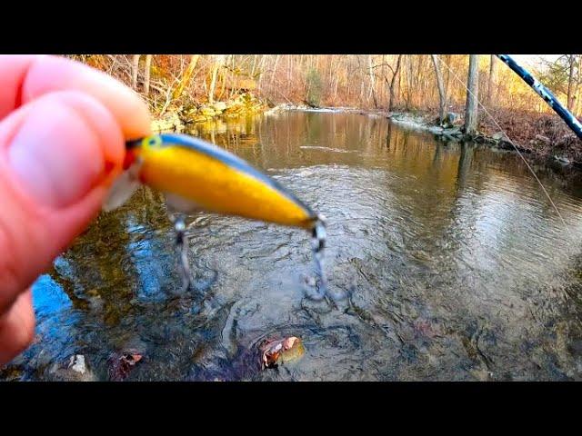 This Tiny Lure is a Fish Catching Machine (wild brown trout)