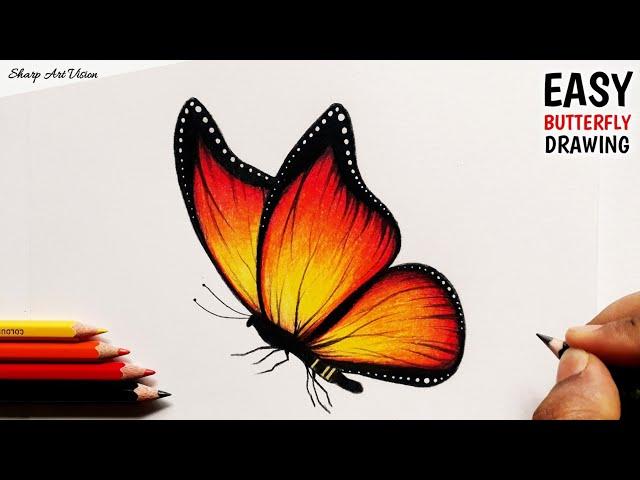 How to draw a Butterfly with Colour Pencils || Pencil Colour Drawing - Of Butterfly for Beginners