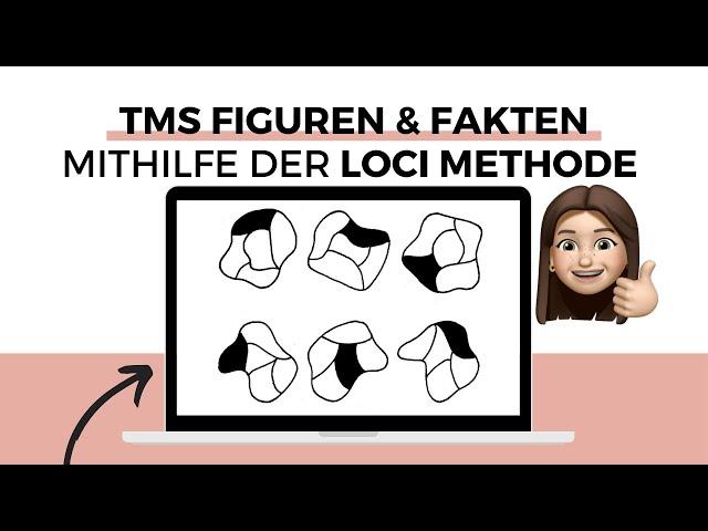 TMS Figuren & Fakten lernen mit der LOCI-Methode