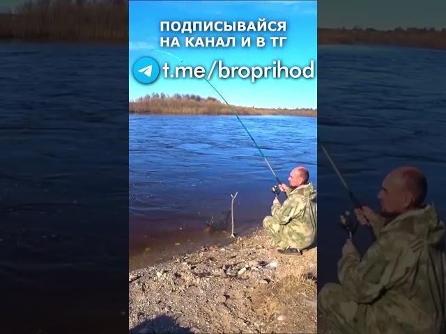 Как же приятно тащить хариуса!) #рыбалка #fishing #рыба #лето #братьяПриходько #спиннинг #хариус