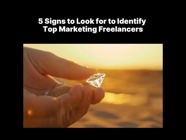 5 questions to recognize a top Freelancer among millions