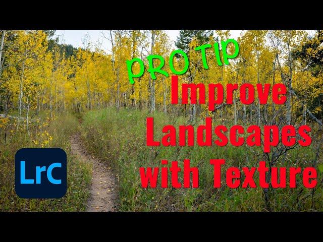 Improve Your Landscape Images with the Texture Slider in Lightroom Classic