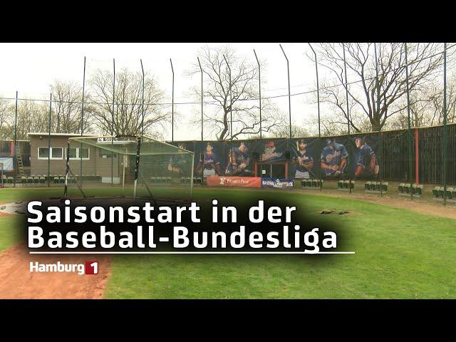 Saisonauftakt in der Baseball-Bundesliga: Hamburg Stealers gegen Dohren