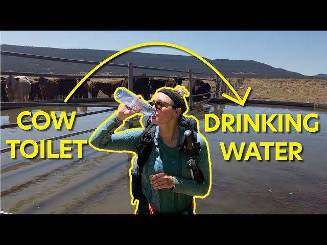 How to Get Drinking Water While Backpacking (Filtering Tips for Pros)