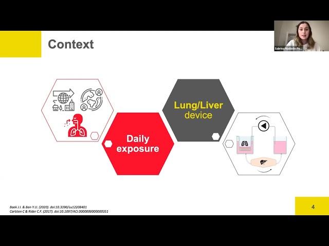 Maturing three-dimensional toxicology models of the barrier organs: Examples from lung and skin