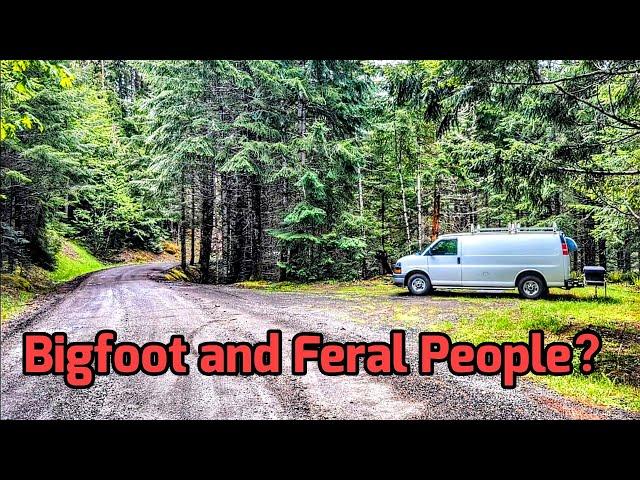 Free Dispersed Camping in the Oregon Woods! van life 