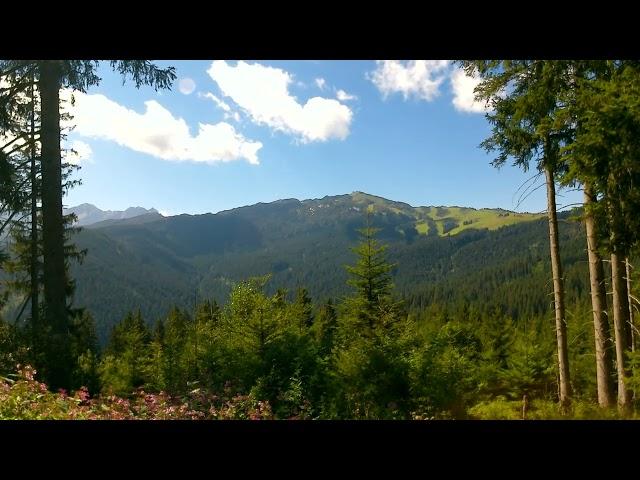 Von der Winklmoosalm zur Wielandseitenalm am Martinsbichl I Chiemgau I Salzburger Land