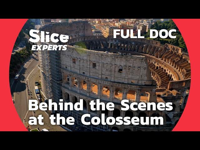 Uncovering the Colosseum's Secrets: Wild beast, Naval Battles and Gladiators | SLICE EXPERTS