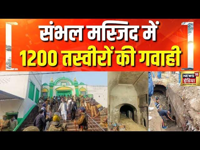 संभल में जामा मस्जिद या हरिहर मंदिर? | UP News | Sambhal Shahi Jama Masjid | CM Yogi | Hindi News