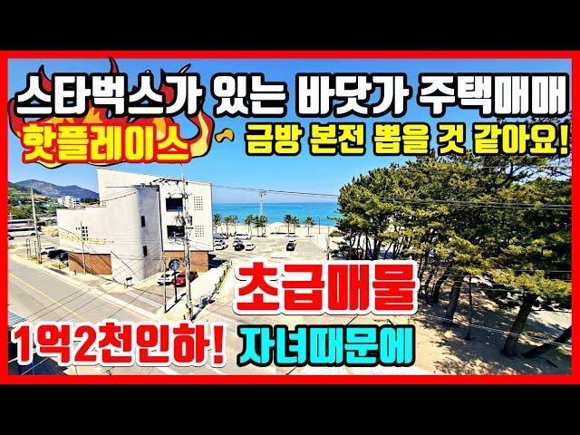 [급매물] 핫플레이스 동해안 바닷가 주택매매 바닷가 전원주택매매 풀빌라매매 풀빌라펜션 바닷가 시골집 매매 포항부동산 포항주택매매 포항단독주택매매 착한부동산tv