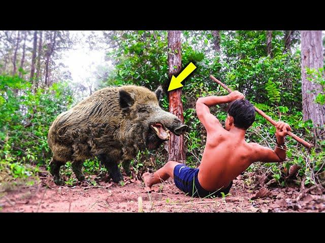 Wild Boar Encounters Caught on Video: Shocking Moments!