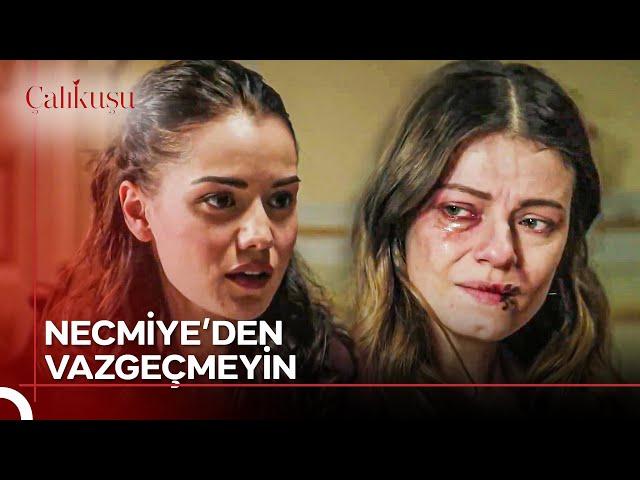 Necmiye'yi Bugün Öksüz Yetim Bıraktınız | Çalıkuşu 7. Bölüm