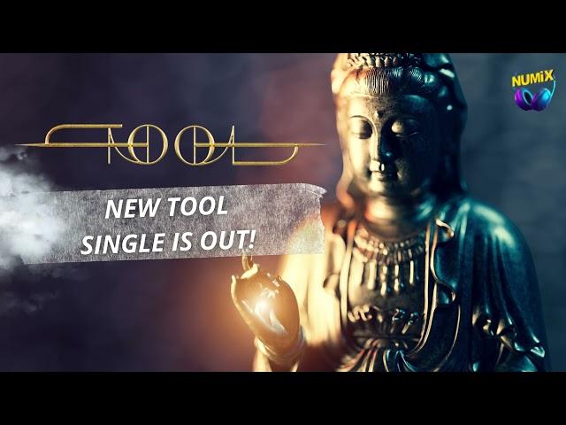 Tool - New Single 2023