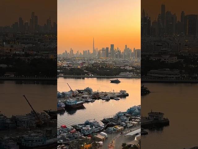 Dubai Creek  @Al Bandar Rotana #shorts#short#viral#youtubeshorts #dubai #indubai #uae #dxb