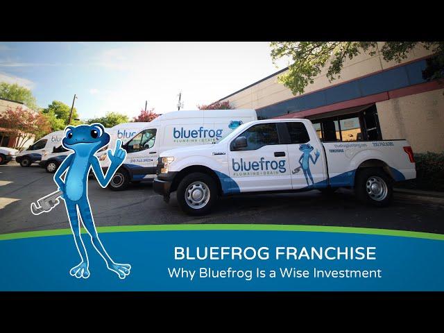 Bluefrog Franchise: Why Bluefrog Is a Wise Investment