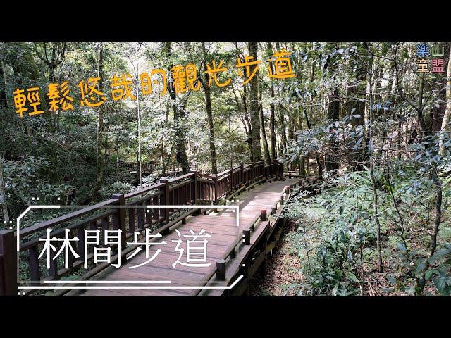 [苗栗泰安] 林間步道 / Linjian Trail