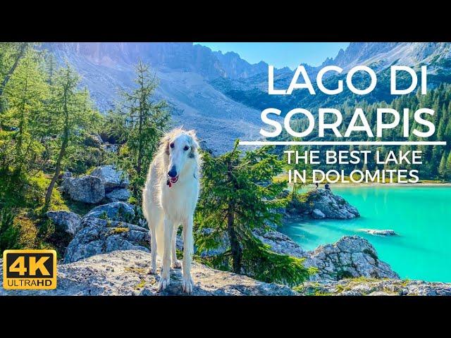 Hiking Lago Di Sorapis in 4K - Trail 215 Dolomites Hiking With Dog