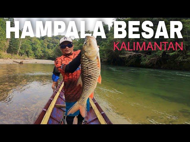 MANCING IKAN HAMPALA BESAR DI PEDALAMAN KALIMANTAN BARAT