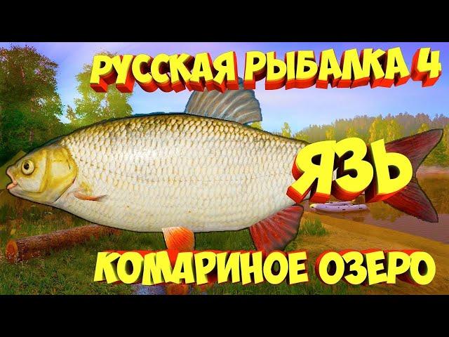 Русская рыбалка 4 • оз. Комариное Язь • рулетка рр4 от ЧокопайТВ