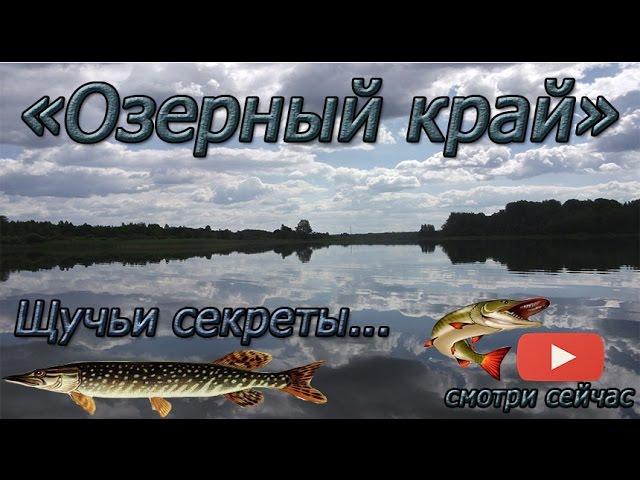 Ловля щуки на кружки. Озерный край. Fishing for pike.