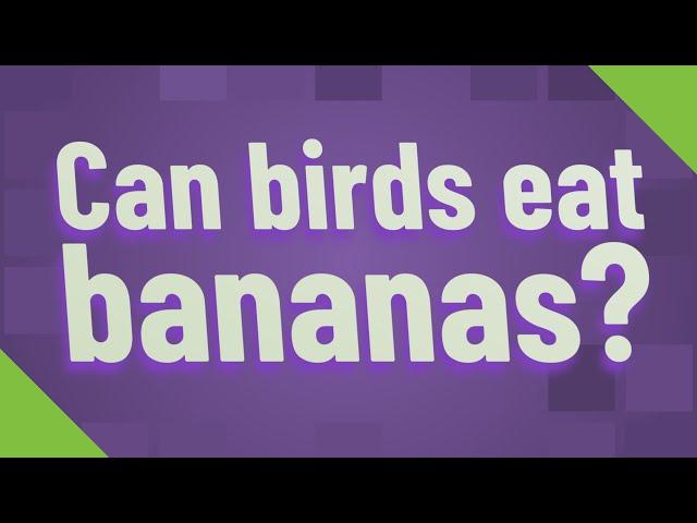 Can birds eat bananas?