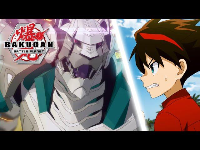 Dragonoid vs Mantonoid & More Battles!  Bakugan Compilation - Battle Planet, Evolutions, Legends