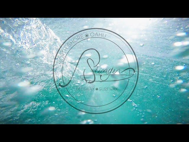Stinger Surf - Bees Wax Surf Wax