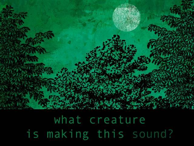 Mysterious Night Sounds