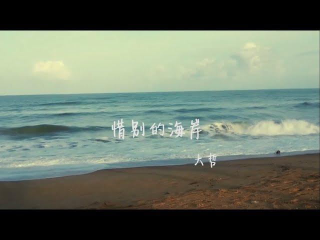 大哲 - 惜别的海岸（高清1080P）KTV原版