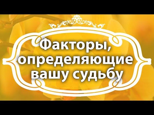 Екатерина Андреева. Какая жизнь вас ждет. Факторы, определяющие вашу судьбу