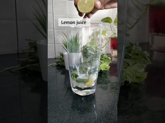 Fresh Mojito in 5 minutes  #mojito #cocktail