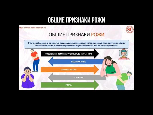 Общие признаки (симптомы) рожи #инфекция #дерматология #рожа #воспаление