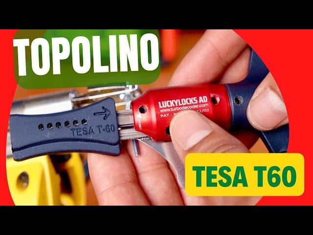 Topolino Tesa T60 (Impresioning)