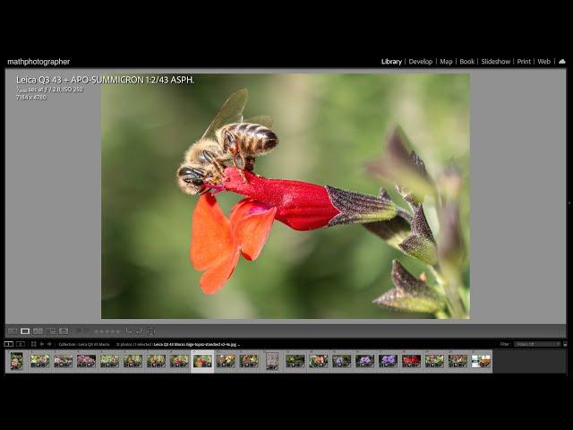 NEW Leica Q3 43mm | Apo-Summicron Macro Quality