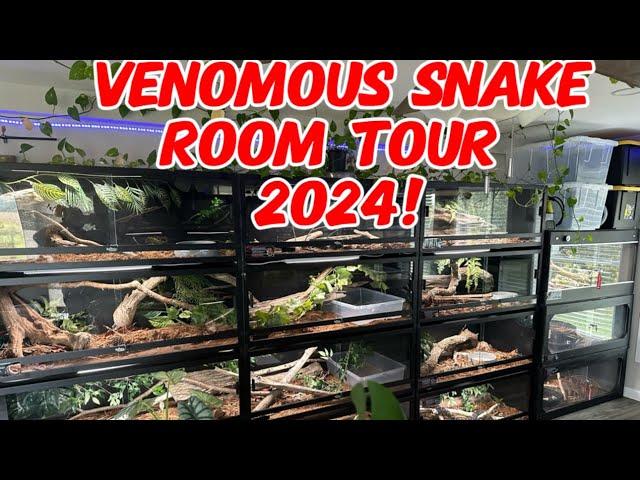 Snake room tour 2024! Venomous and Non Venomous!