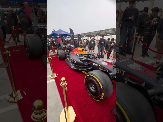 Verstappen’s RB19️ #f1 #maxverstappen #redbull ​⁠@redbull ​⁠@redbullracing ​⁠@f1officiaIx #car