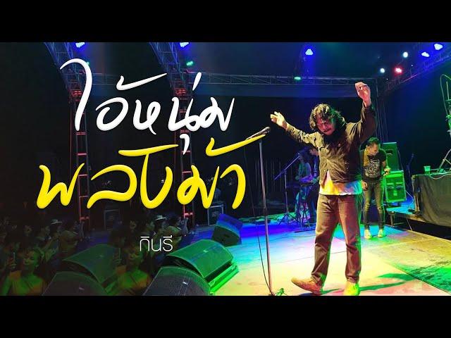 ไอ้หนุ่มพลังม้า - กินรี【LYRIC VIDEO】เพลงใต้เพื่อชีวิต