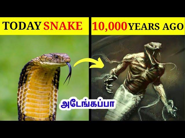 புராண கால உயிரினங்கள்#2 | Dangerous Animals That Existed | Tamil Amazing Facts | Mythical Animals