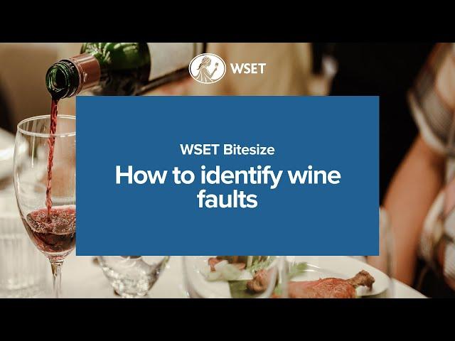 WSET Bitesize - How to identify wine faults