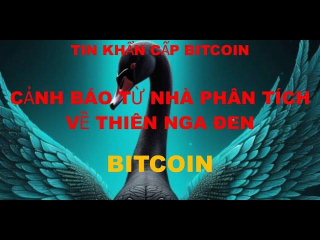 Tin Tức Khẩn Cấp Bitcoin , cảnh báo từ nhà phân tích về thiên nga đen với bitcoin