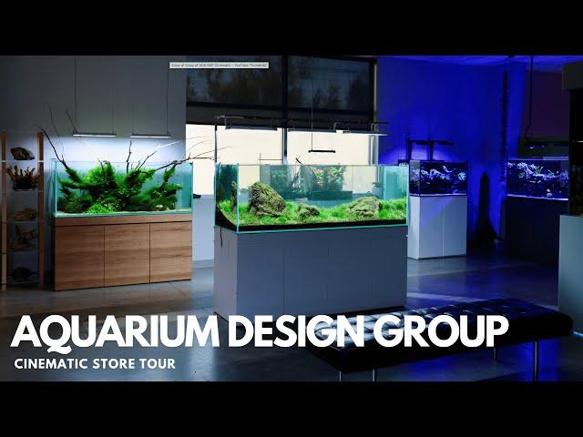 Aquarium Design Group - Cinematic Store Tour