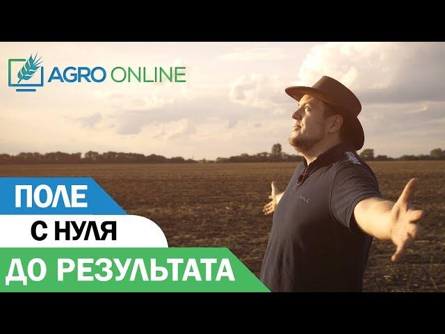 Поле с нуля до результата | Агробизнес без цензуры