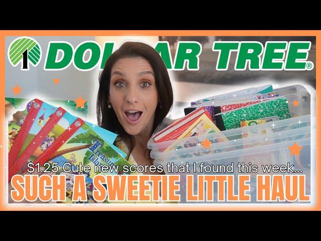 $50.00 DOLLAR TREE HAUL | $1.25 HIDDEN GEM FINDS that I SPOTTED THIS WEEK