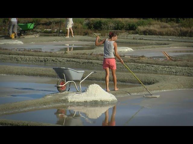 The Salt Marshes of Guérande, Brittany France