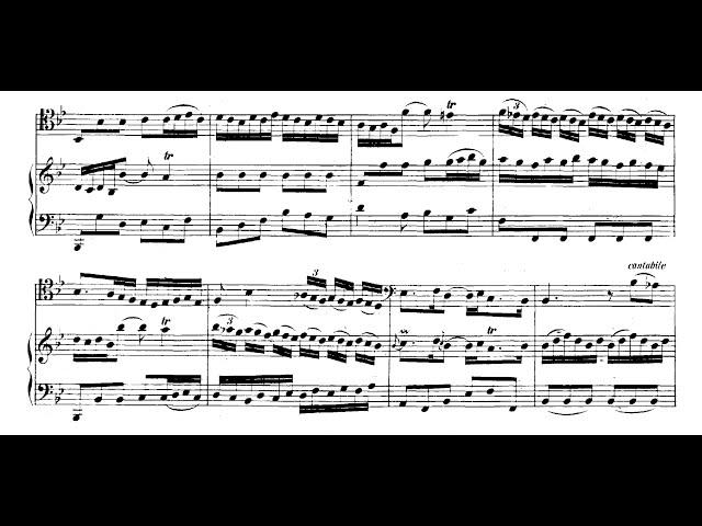 Bach - Viola da Gamba Sonata No.3 in G minor (piano accompaniment)