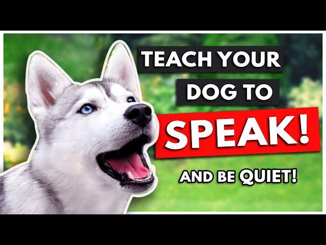 HOW TO TEACH YOUR DOG TO SPEAK (and be QUIET!)