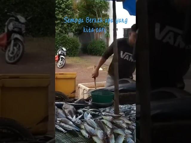 sekill Tuan Muda official cara potong ikan Rambe
