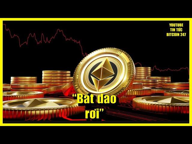 Ethereum đối mặt với cảnh báo “dao rơi”, Cardano là tài sản phù hợp để dự trữ?