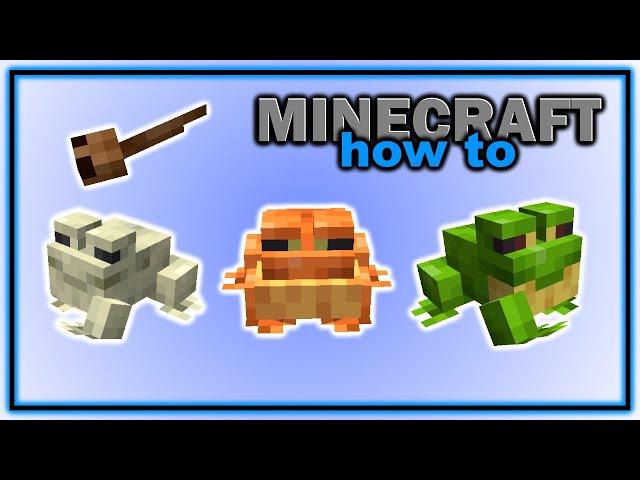 Everything About Frogs and Tadpoles in Minecraft! (1.19+) | Easy Minecraft Tutorial